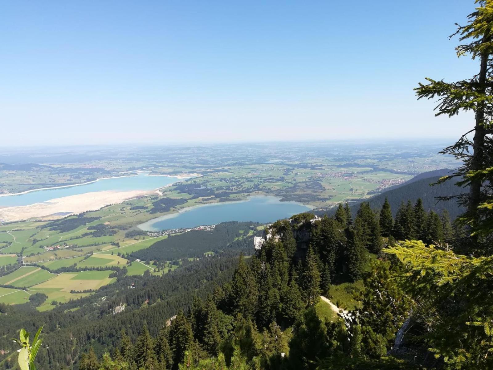 Alpenrose Appartements Nesselwang Bagian luar foto